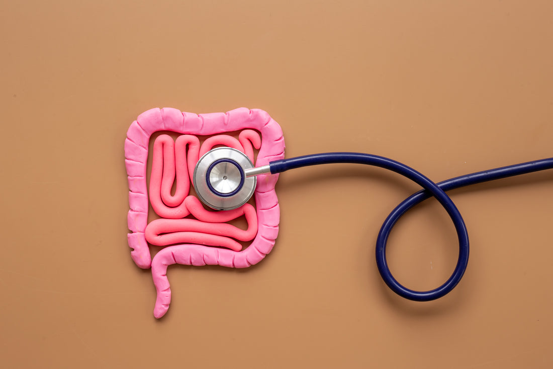 A stethoscope monitoring someone's gut health