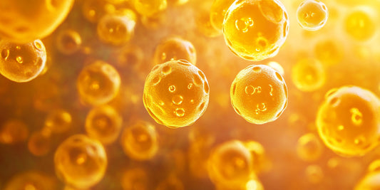 Cholesterol molecules