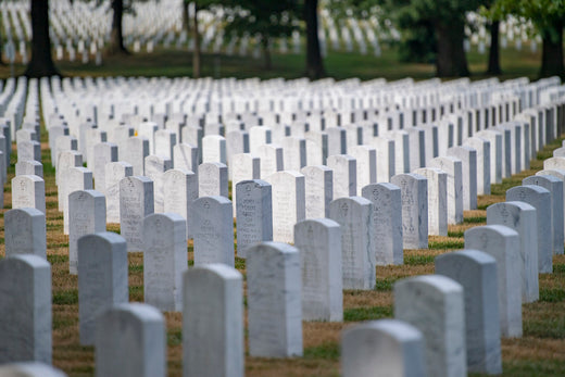 This is an image of headstones at the Arlington National Cemetery